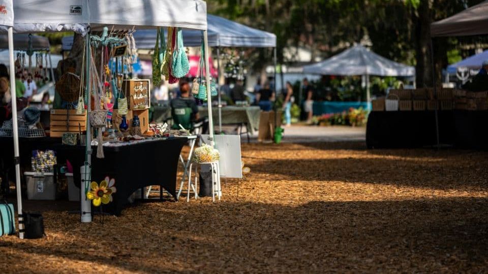 Matakana: A Hidden Gem in New Zealand