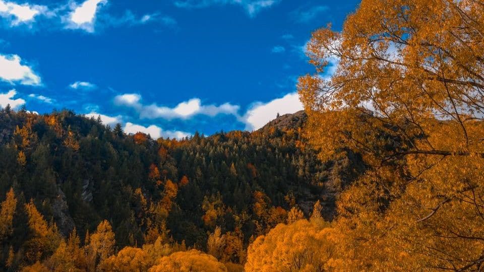 Where to See the Best Autumn Colours in New Zealand