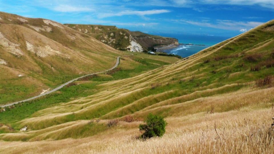 Best Day Trips from Napier and Hastings
