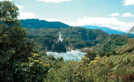 A sweeping, sunny, overhead view of Waimangu Volcanic Rift Valley in Rotorua.