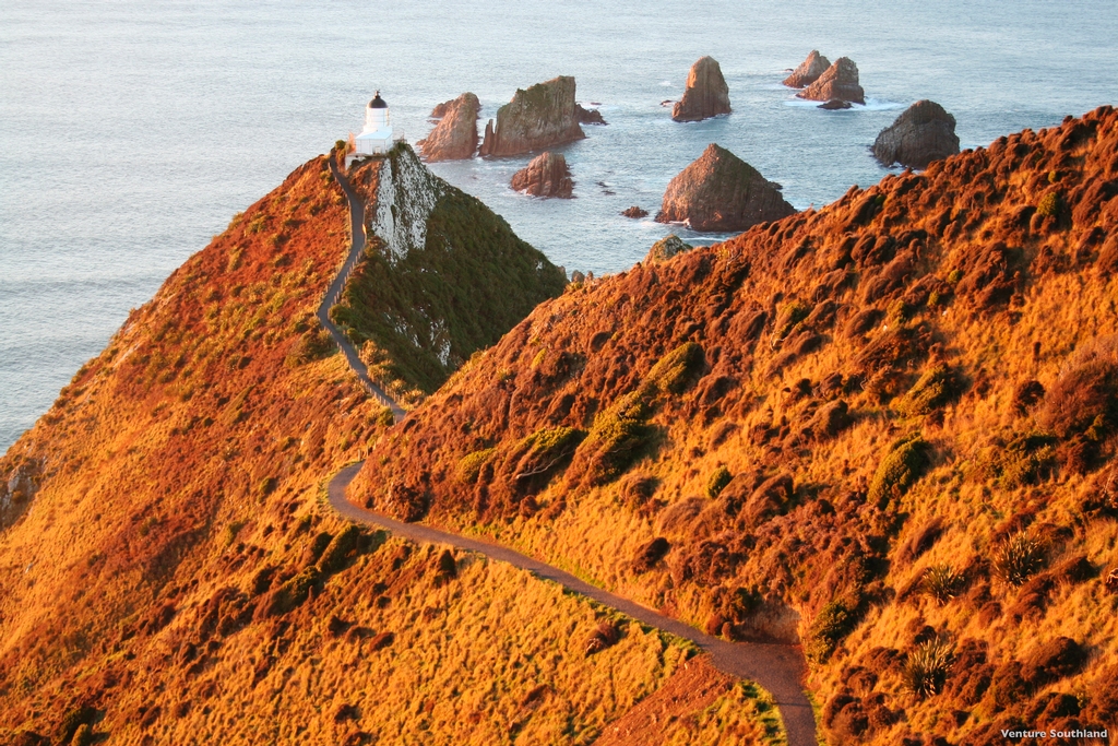 Drive a rental car from Invercargill to Nugget Point Lighthouse.