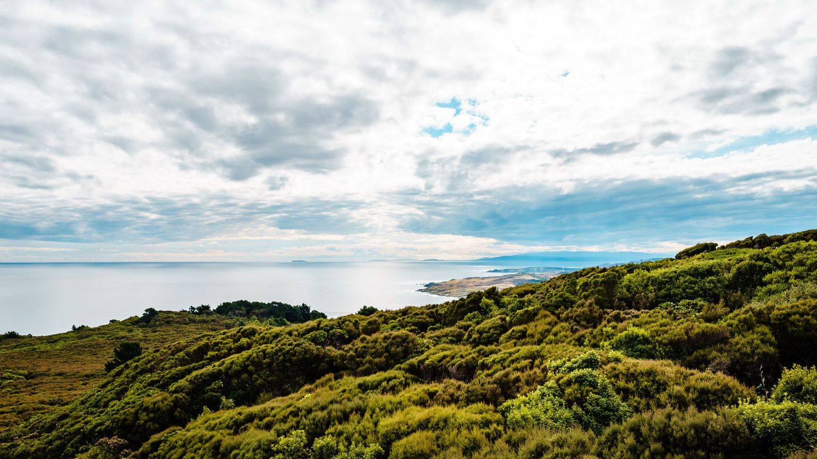 Southern Scenic Route: Dunedin to Queenstown in 9 Days