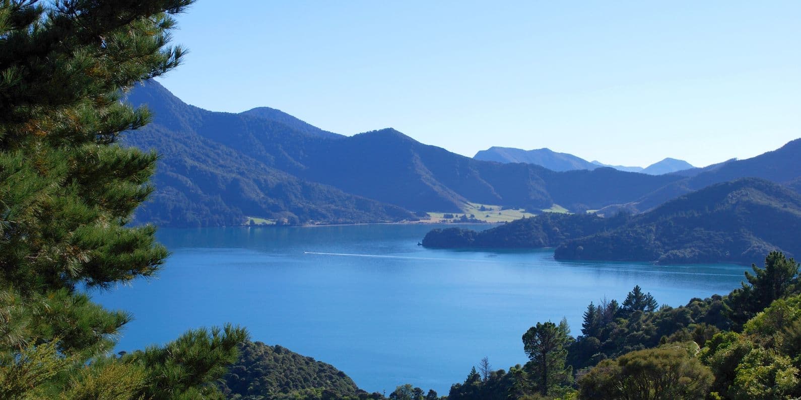 Things to do in Marlborough