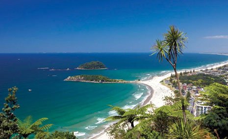 Tauranga