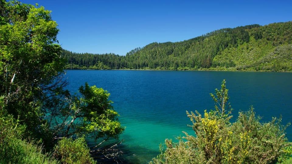 Rotorua Geothermal & Adventure Car Rental Guide
