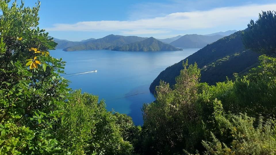 New Zealand’s Best Hidden Gems You Won’t Find in Guidebooks