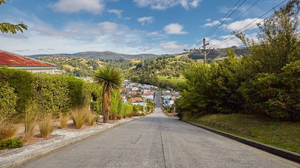 Dunedin & Coastal Otago Car Hire: Steep Streets, Peninsula Roads & Wildlife Drives