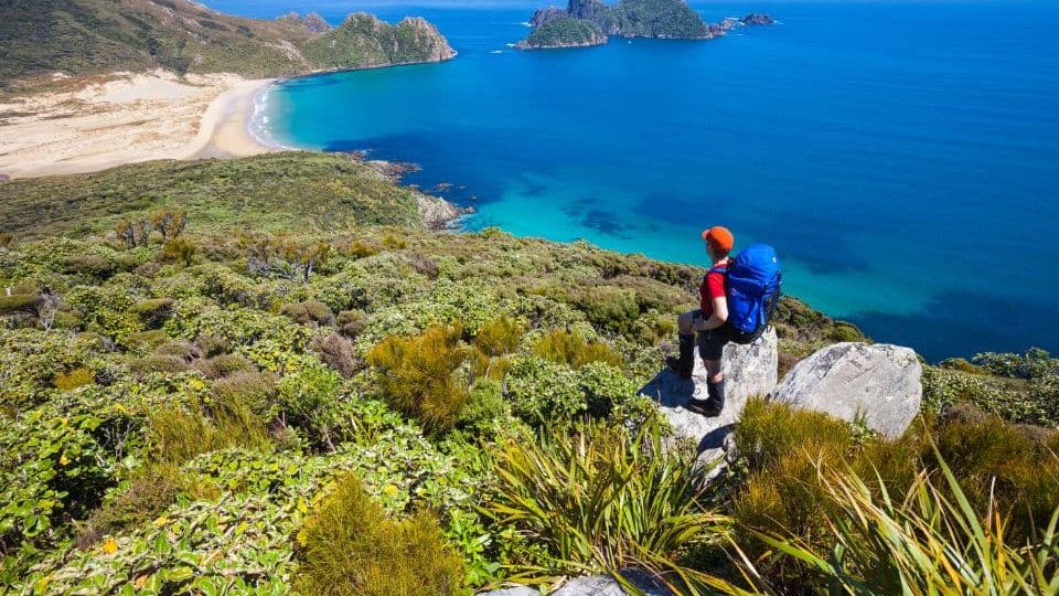 Invercargill to Stewart Island: A Self-Drive & Ferry Adventure